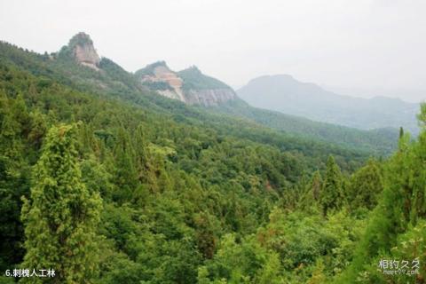 大连西郊国家森林公园旅游攻略 之 刺槐人工林 大连西郊国家森林公园旅游攻略 之 刺槐人工林