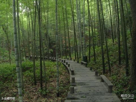 杭州西湖风景名胜区旅游攻略 之 云栖竹径