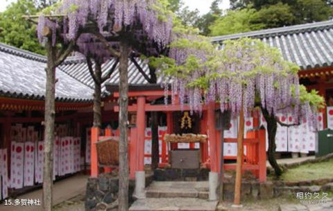 日本奈良春日大社旅游攻略 之 多贺神社