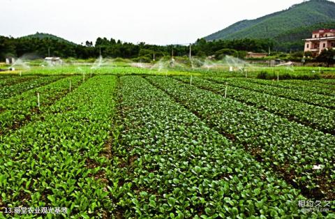 佛山皂幕山旅游风景区旅游攻略 之 丽堂农业观光基地 佛山皂幕山旅游风景区旅游攻略 之 丽堂农业观光基地