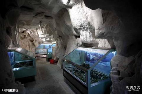 中科院华南植物园旅游攻略 之 极地植物区 中科院华南植物园旅游攻略 之 极地植物区