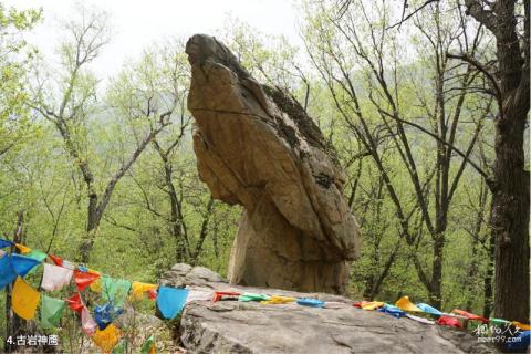 辽宁金山石佛风景区旅游攻略 之 古岩神鹰 辽宁金山石佛风景区旅游攻略 之 古岩神鹰