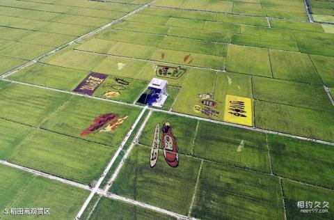 沈阳稻梦空间主题公园旅游攻略 之 稻田画观赏区 沈阳稻梦空间主题公园旅游攻略 之 稻田画观赏区