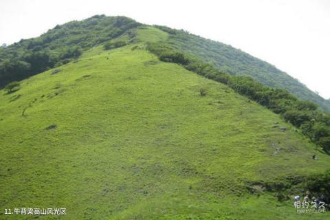 商洛牛背梁国家森林公园旅游攻略 之 牛背梁高山风光区 商洛牛背梁国家森林公园旅游攻略 之 牛背梁高山风光区