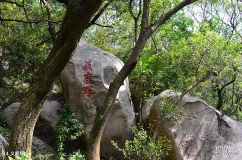 福清瑞岩山景区旅游攻略 之 义鹿塚