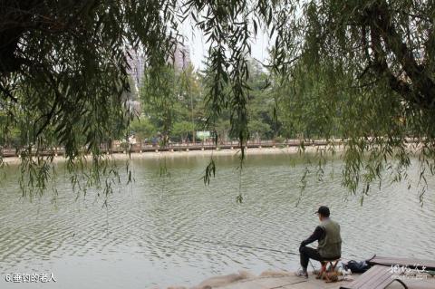 大连植物园旅游攻略 之 垂钓的老人