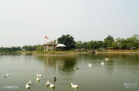百色田阳聚之乐休闲农业景区旅游攻略 之 动物展示园