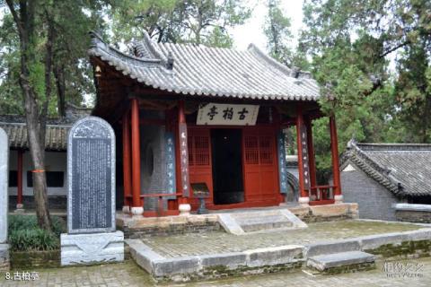 南阳卧龙岗武侯祠旅游攻略 之 古柏亭
