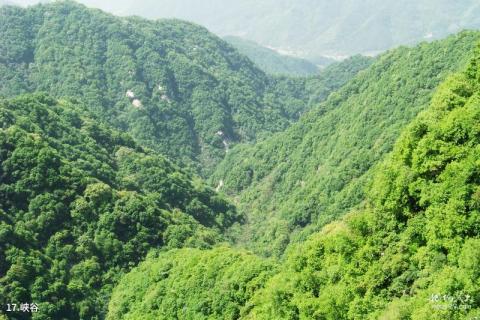 西安祥峪森林公园旅游攻略 之 峡谷