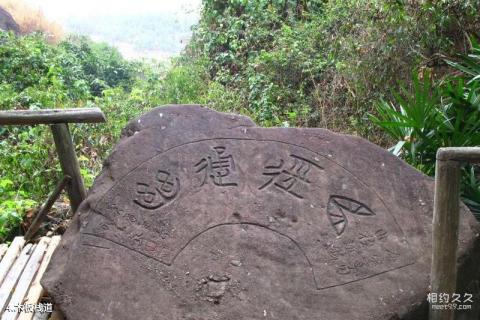 广东河源越王山风景区旅游攻略 之 木板栈道