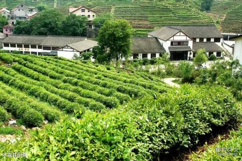 杭州西湖风景名胜区旅游攻略 之 龙井问茶 杭州西湖风景名胜区旅游攻略 之 龙井问茶