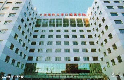 中国医科大学校园风光 之 口腔医学院教学楼 中国医科大学校园风光 之 口腔医学院教学楼