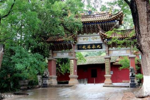 玉溪九龙池旅游攻略 之 九龙池