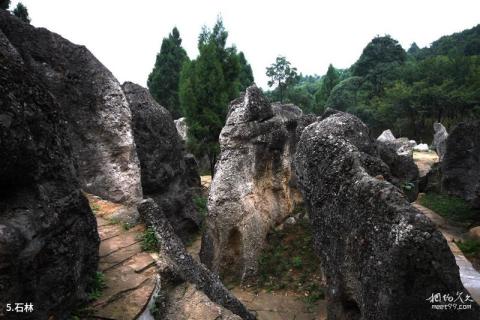 绵阳北川寻龙山景区旅游攻略 之 石林