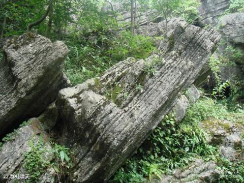 恩施梭布垭石林旅游攻略 之 群蛙啸天