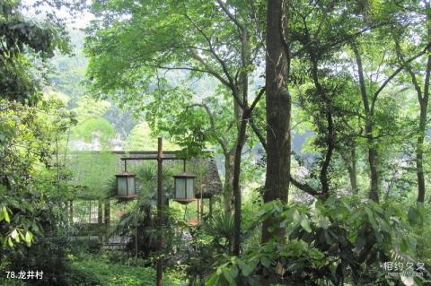 杭州西湖风景名胜区旅游攻略 之 龙井村