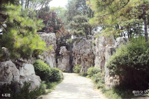 西安唐大慈恩寺遗址公园旅游攻略 之 石径