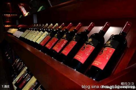 蓬莱唐皇山谷·国宾酒庄旅游景区旅游攻略 之 酒庄