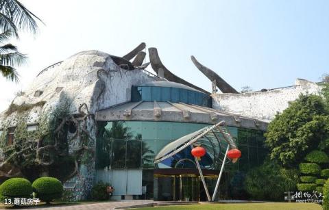 深圳海上田园旅游攻略 之 蘑菇房子