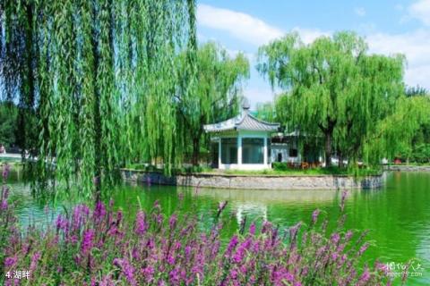 北京青年湖公园旅游攻略 之 湖畔