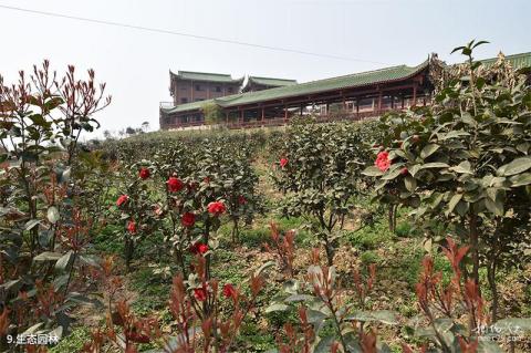 重庆巴南中泰天心佛文化旅游区旅游攻略 之 生态园林 重庆巴南中泰天心佛文化旅游区旅游攻略 之 生态园林