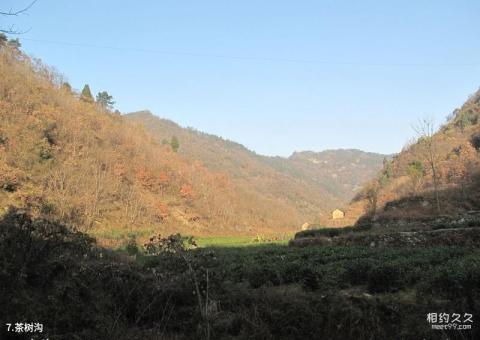 十堰牛头山森林公园旅游攻略 之 茶树沟