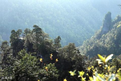 广西大明山国家级自然保护区旅游攻略 之 仙人台