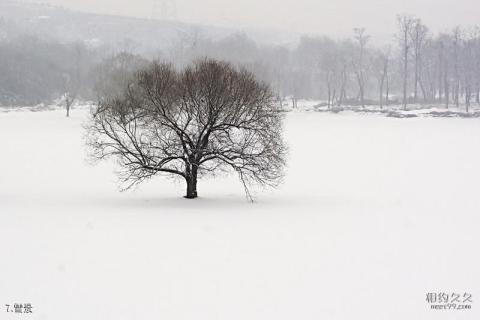 大连牧城驿水库旅游攻略 之 雪景