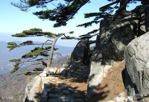 恩龙世界木屋村旅游攻略 恩龙世界木屋村旅游攻略