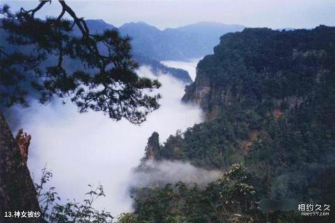 广西大明山国家级自然保护区旅游攻略 之 神女披纱