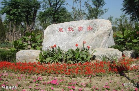 北京南海子公园旅游攻略 之 霜林醉爱 北京南海子公园旅游攻略 之 霜林醉爱