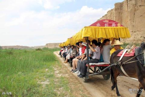 宁夏水洞沟旅游区旅游攻略 之 马车