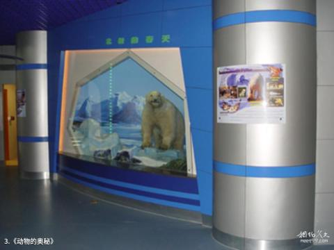 北京自然博物馆旅游攻略 之 《动物的奥秘》 北京自然博物馆旅游攻略 之 《动物的奥秘》