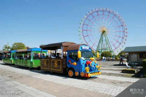 日本国营日立海滨公园旅游攻略 之 观光小火车