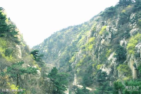 泰安新泰莲花山旅游攻略 之 第二森林浴场 泰安新泰莲花山旅游攻略 之 第二森林浴场