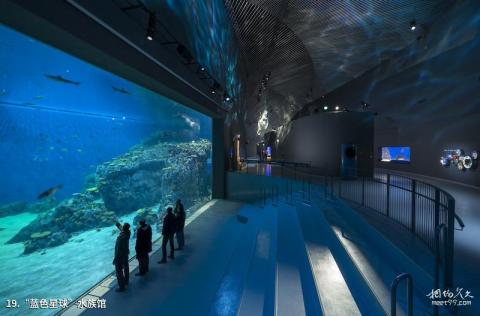丹麦哥本哈根市旅游攻略 之 “蓝色星球”水族馆 丹麦哥本哈根市旅游攻略 之 “蓝色星球”水族馆
