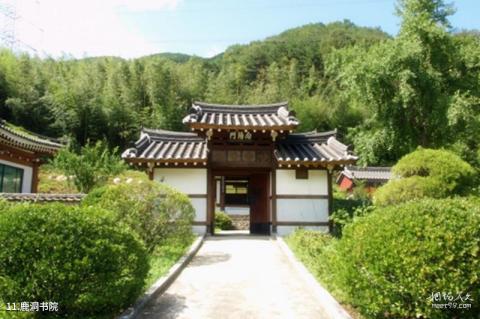 韩国大邱市旅游攻略 之 鹿洞书院