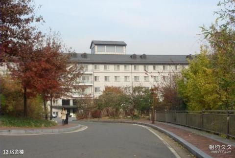 韩国梨花女子大学校园风光 之 宿舍楼