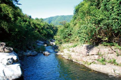 广东罗浮山旅游攻略 之 桃子园