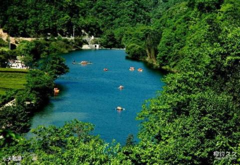 康县阳坝旅游攻略 之 天鹅湖