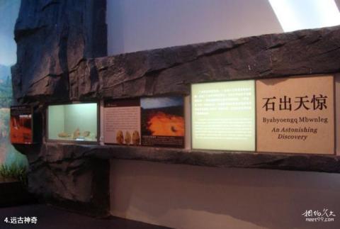广西壮族自治区博物馆旅游攻略 之 远古神奇