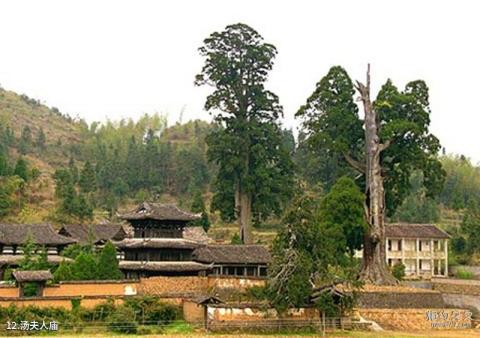 景宁草鱼塘森林公园旅游攻略 之 汤夫人庙 景宁草鱼塘森林公园旅游攻略 之 汤夫人庙