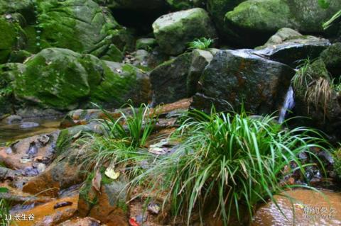 信阳鸡公山风景名胜区旅游攻略 之 长生谷