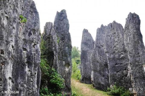 铜仁思南温泉石林景区旅游攻略 之 喀斯特石林 铜仁思南温泉石林景区旅游攻略 之 喀斯特石林