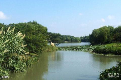 昆山城市生态森林公园旅游攻略 之 湿地