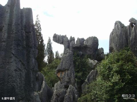 昆明石林风景区旅游攻略 之 犀牛望月