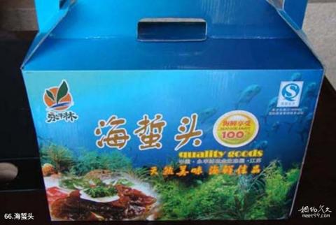 江苏永丰林农业生态园旅游攻略 之 海蜇头