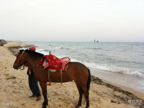 辽宁绥中止锚湾旅游攻略 之 骑马