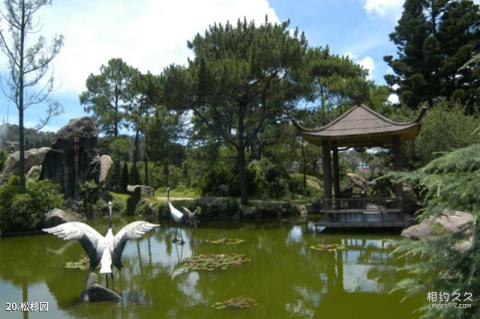 厦门万石山植物园旅游攻略 之 松杉园 厦门万石山植物园旅游攻略 之 松杉园
