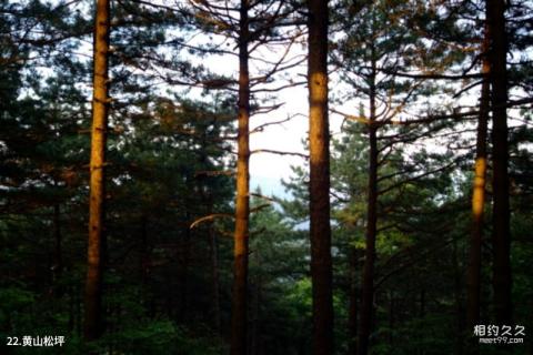六安天堂寨旅游攻略 之 黄山松坪